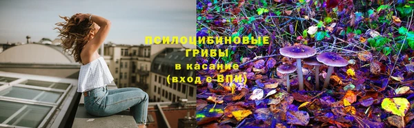 ПСИЛОЦИБИНОВЫЕ ГРИБЫ Рославль