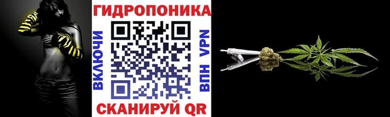 Купить где  Карабаново  Бошки Шишки OG Kush 